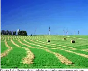 fazendas-eolicas-podem-causar-aquecimento-11