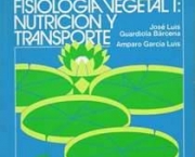 fisiologia-vegetal-caracteristicas-gerais-13