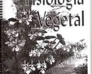 fisiologia-vegetal-caracteristicas-gerais-17