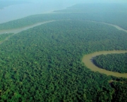 Florestas do Peru Amazonia Perdida (1).jpg