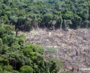 Florestas do Peru Amazonia Perdida (6).JPG