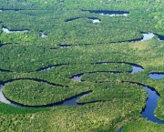 Florestas do Peru Amazonia Perdida (7).jpg