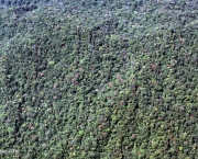 Florestas do Peru Amazonia Perdida (13).jpg