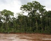 Florestas do Peru Amazonia Perdida (16).JPG