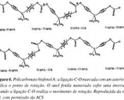 flutuacoes-conformacionais-2