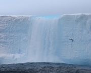 fotos-de-icebergs-6