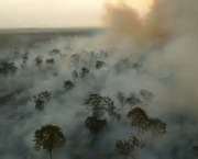 historia-do-desmatamento-no-brasil-9