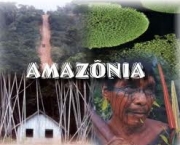 amazonia-5