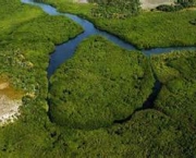 impacto-ambiental-das-hidreletricas-da-amazonia-4