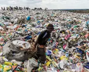 Impactos Ambientais causados pelo lixo (2)