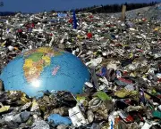 Impactos Ambientais causados pelo lixo (3)