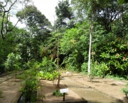 jardins-botanicos-no-brasil-6