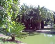 jardins-botanicos-no-brasil-3