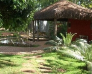 jardins-botanicos-no-brasil-5