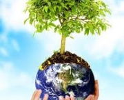 leis-ambientais-para-empresas-5