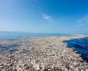 Lixo no Mar do Caribe (10)