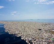 Lixo no Mar do Caribe (17)