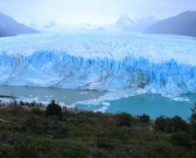 Los Glaciares, Argentina - Vegetação (3)