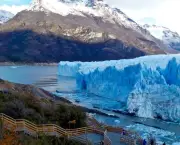 Los Glaciares, Argentina - Vegetação (5)