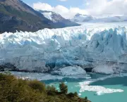 Los Glaciares, Argentina - Vegetação (6)