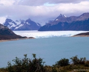 Los Glaciares, Argentina - Vegetação (7)