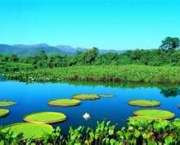 monitoramento-do-clima-no-pantanal-1