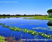 monitoramento-do-clima-no-pantanal-3