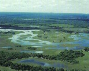 monitoramento-do-clima-no-pantanal-5