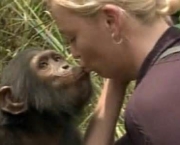o-estudo-de-jane-goodall-sobre-os-chimpanzes-18