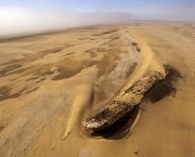 O Mar de Aral (4)