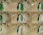 O Mar de Aral (7)