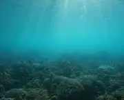 O Que São Os Oceanos (3)
