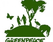 o-trabalho-do-greenpeace-no-brasil-3