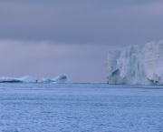 Oceano Glacial Antártico (2)