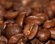 os-cafezais-do-brasil-6