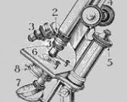 os-microscopios-1