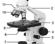os-microscopios-2