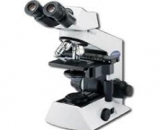os-microscopios-3