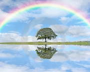 paisagens-com-arco-iris-7