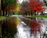 paisagens-com-chuva-15