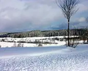 paisagens-com-neve-10