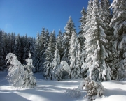 paisagens-com-neve-11