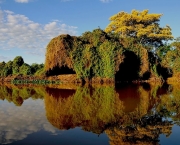 pantanal-mato-grossense-2
