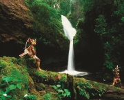 Papua Nova Guiné - Recursos Naturais (1)