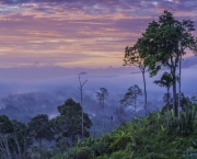 Papua Nova Guiné - Recursos Naturais (6)
