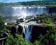 parques-nacionais-brasileiros-preservacao-da-fauna-e-flora-originais-1