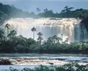 parques-nacionais-brasileiros-preservacao-da-fauna-e-flora-originais-5