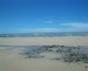 praia-da-baleia-unidade-de-conservacao-5