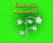 quarta-conferencia-internacional-sobre-educacao-ambiental-9
