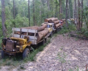 queda-no-desmatamento-na-amazonia-4